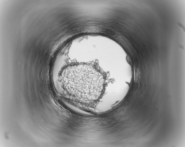 X0000100200531200806271644