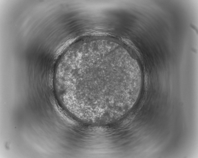 X0000100200533200806271644