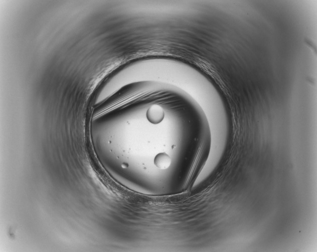 X0000100200534200806271644