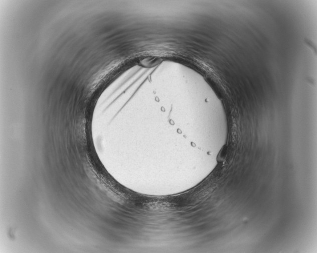 X0000100200535200806271644