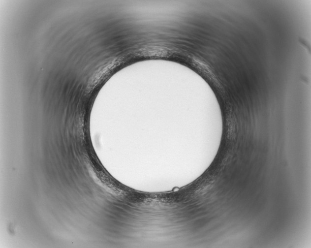 X0000100200538200806271644