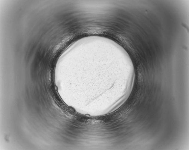 X0000100200539200806271644