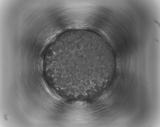 X0000100200542200806271644