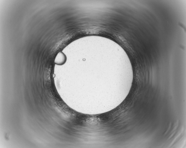 X0000100200543200806271644