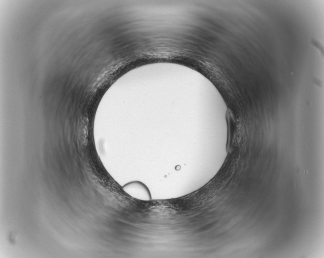 X0000100200544200806271644