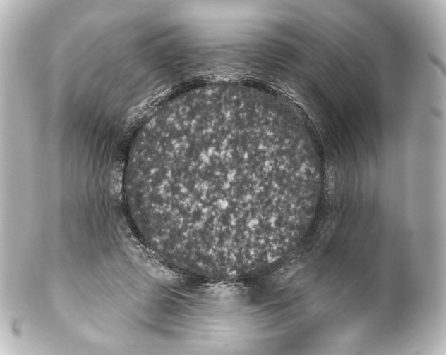 X0000100200545200806271644