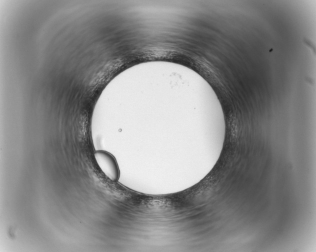 X0000100200546200806271644