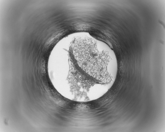 X0000100200547200806271644