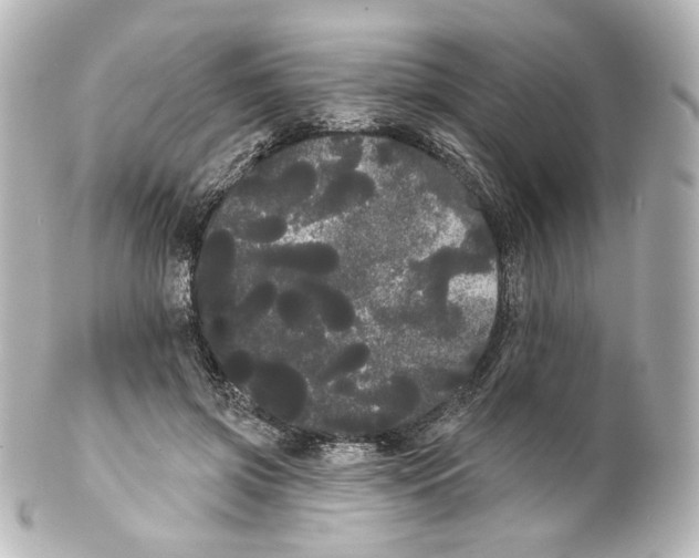 X0000100200549200806271644