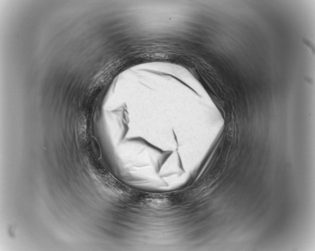 X0000100200552200806271644