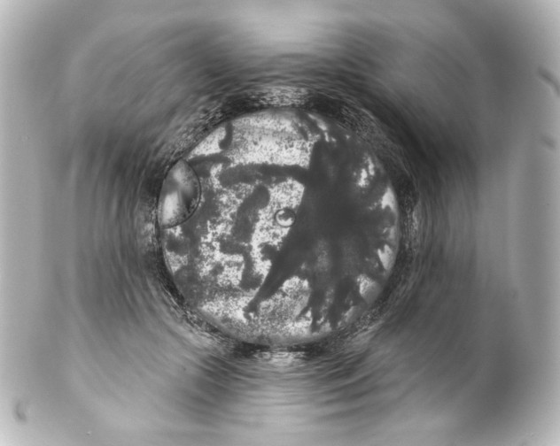 X0000100200553200806271644