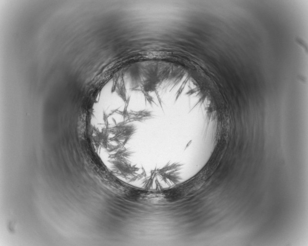 X0000100200554200806271644