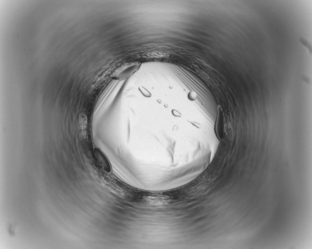 X0000100200556200806271644