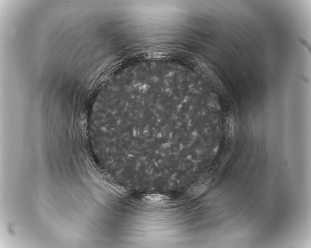 X0000100200557200806271644