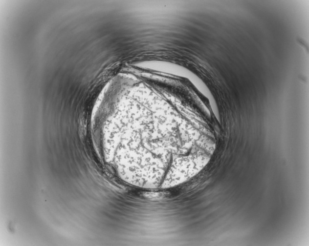 X0000100200558200806271644