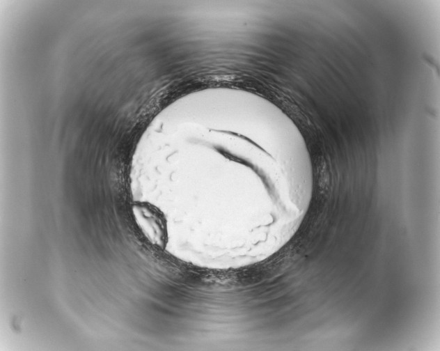 X0000100200559200806271644