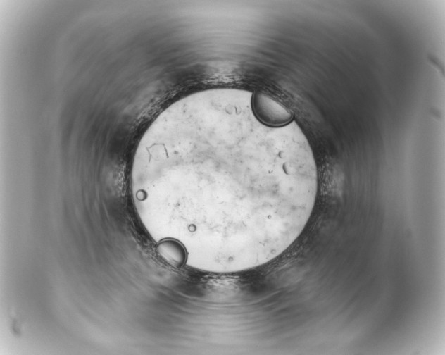 X0000100200560200806271644