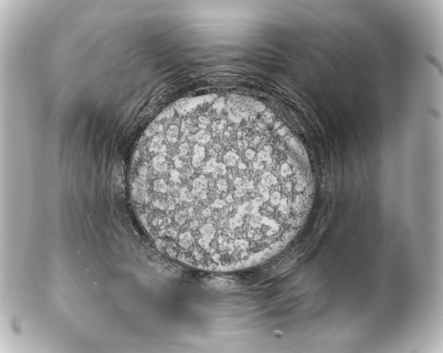 X0000100200561200806271644