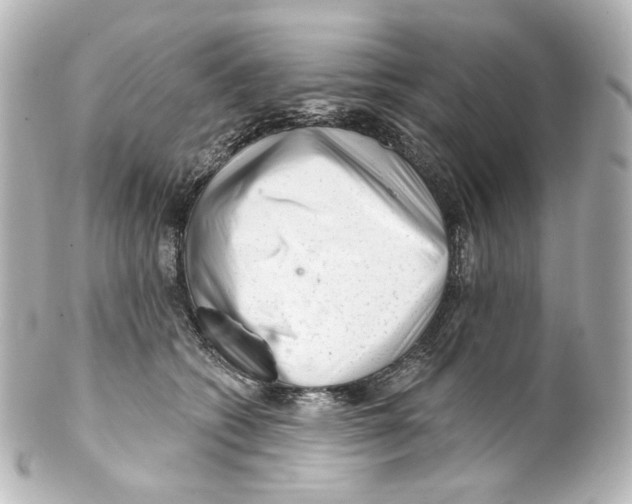 X0000100200562200806271644