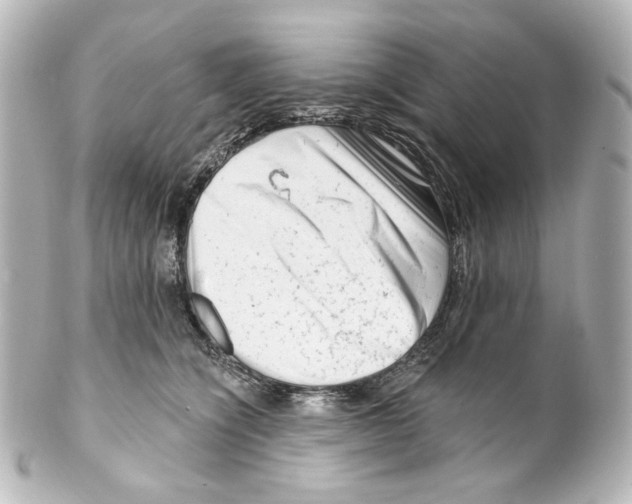 X0000100200564200806271644