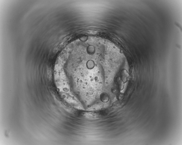 X0000100200568200806271644