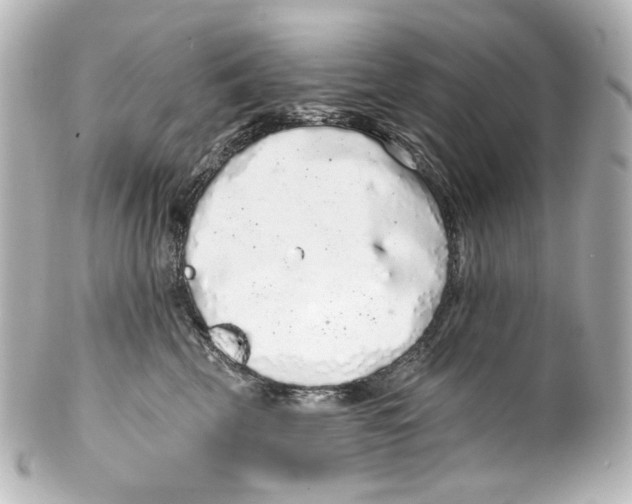 X0000100200569200806271644