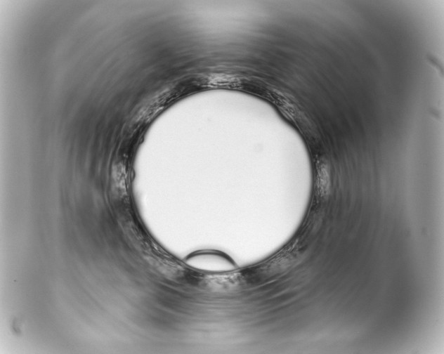 X0000100200571200806271644