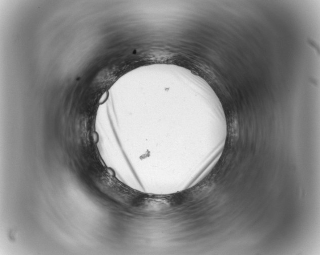 X0000100200572200806271644