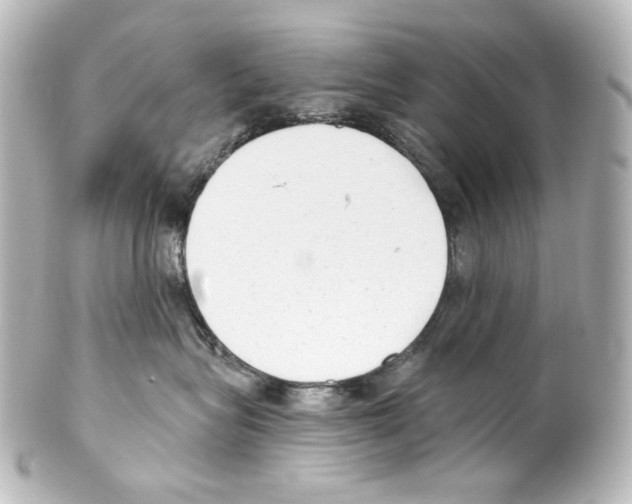 X0000100200575200806271644