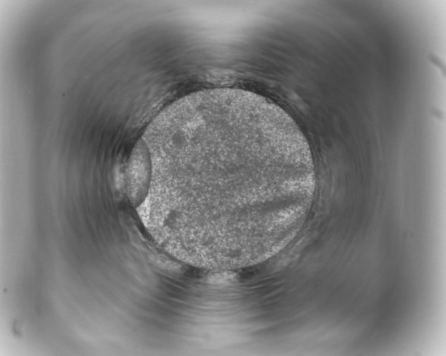 X0000100200576200806271644