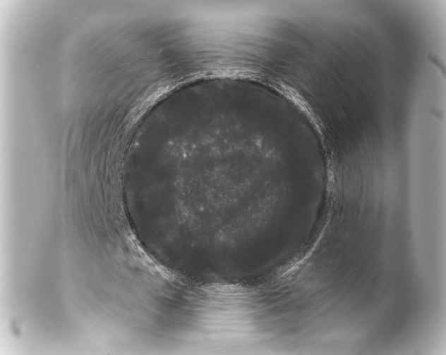 X0000100200577200806271644