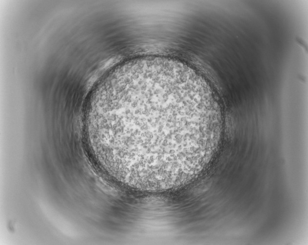 X0000100200578200806271644