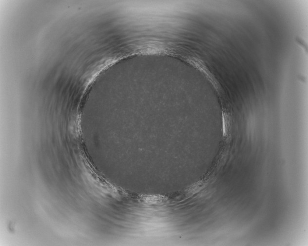 X0000100200579200806271644