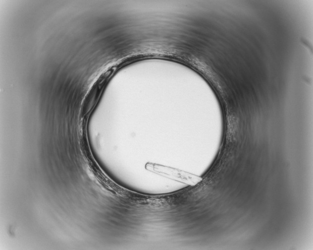 X0000100200580200806271644
