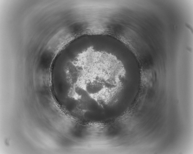 X0000100200582200806271644