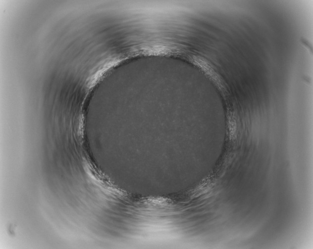 X0000100200583200806271644