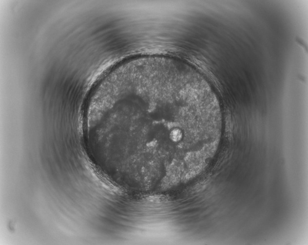 X0000100200584200806271644