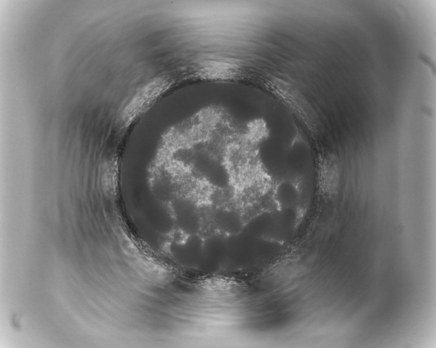 X0000100200586200806271643