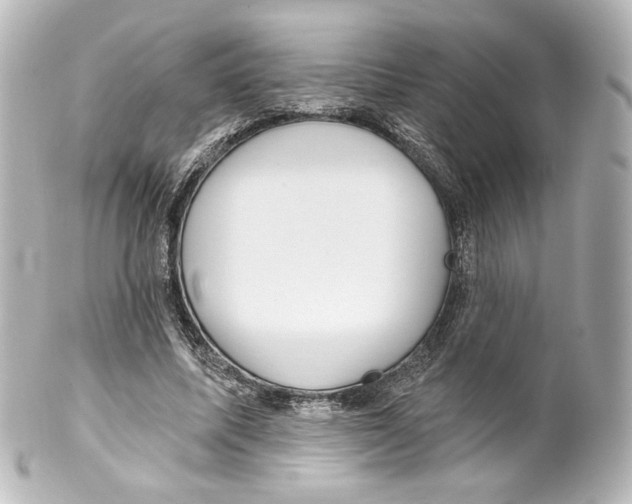 X0000100200587200806271643