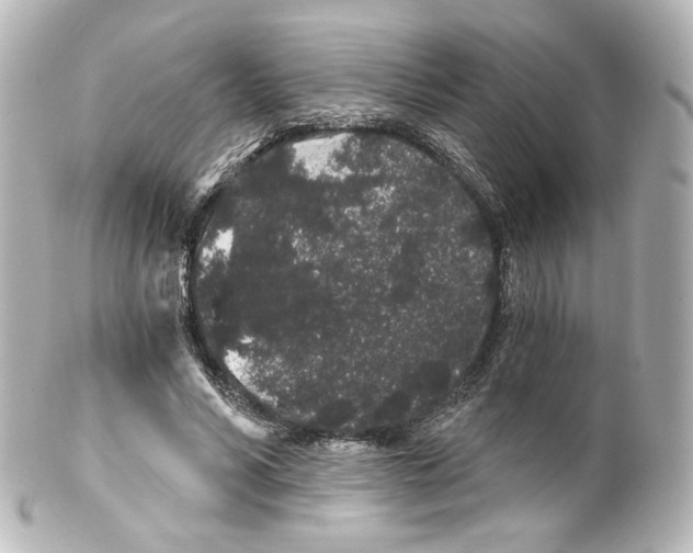 X0000100200590200806271643