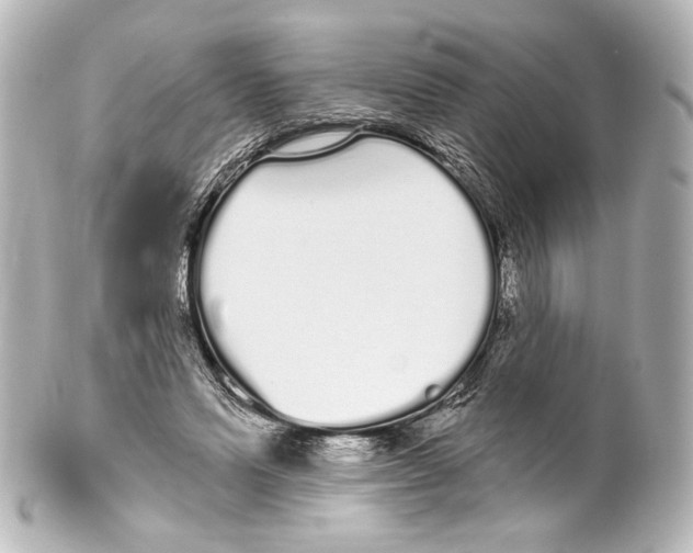 X0000100200591200806271643