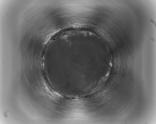 X0000100200592200806271643