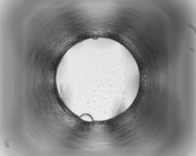 X0000100200593200806271643