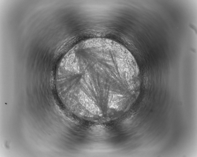 X0000100200594200806271643