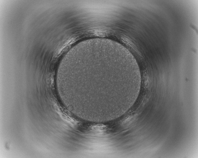 X0000100200595200806271643