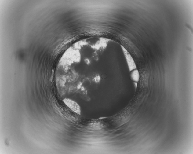 X0000100200596200806271643