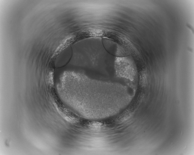 X0000100200598200806271643