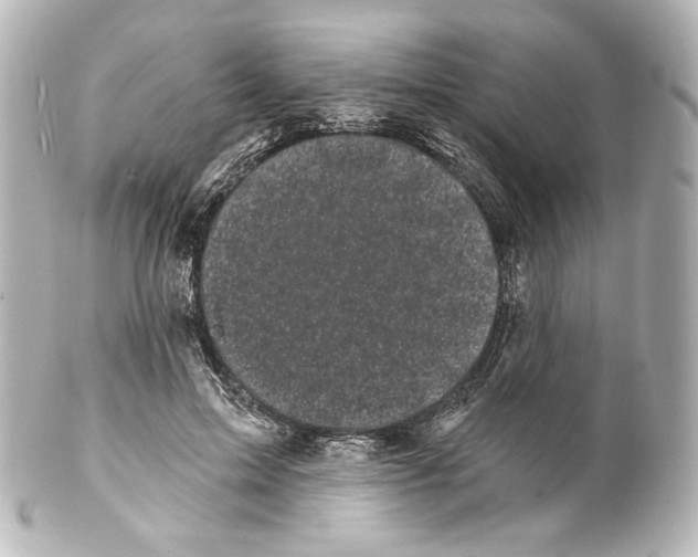 X0000100200599200806271643