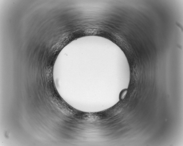 X0000100200601200806271643