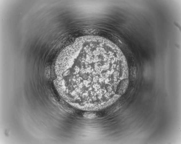 X0000100200602200806271643